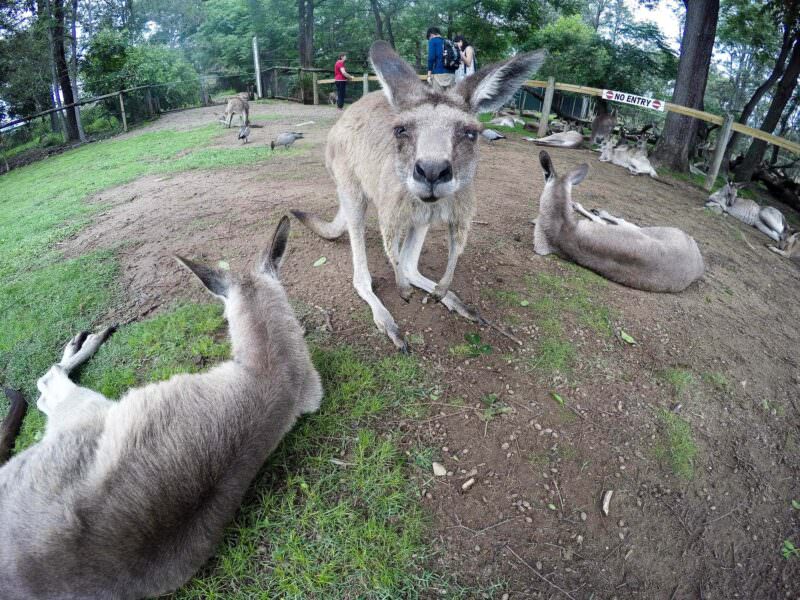 GoPro HERO4 Silver