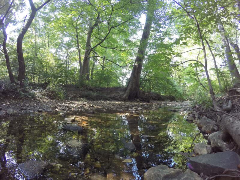 Protune: Color GoPro