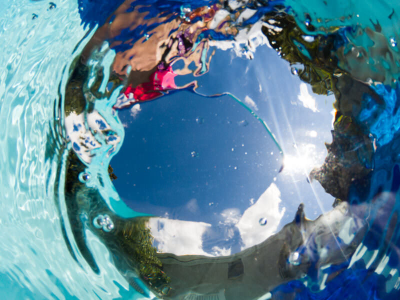 Fisheye dome port shot looking straight up through the water's surface toward the sky