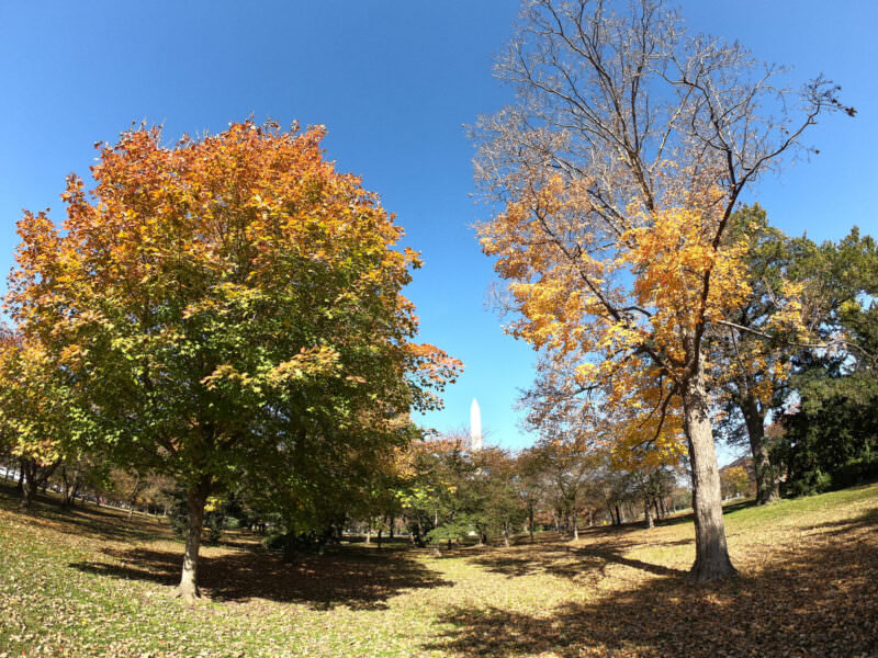 Photo taken with a GoPro HERO7 Black action camera