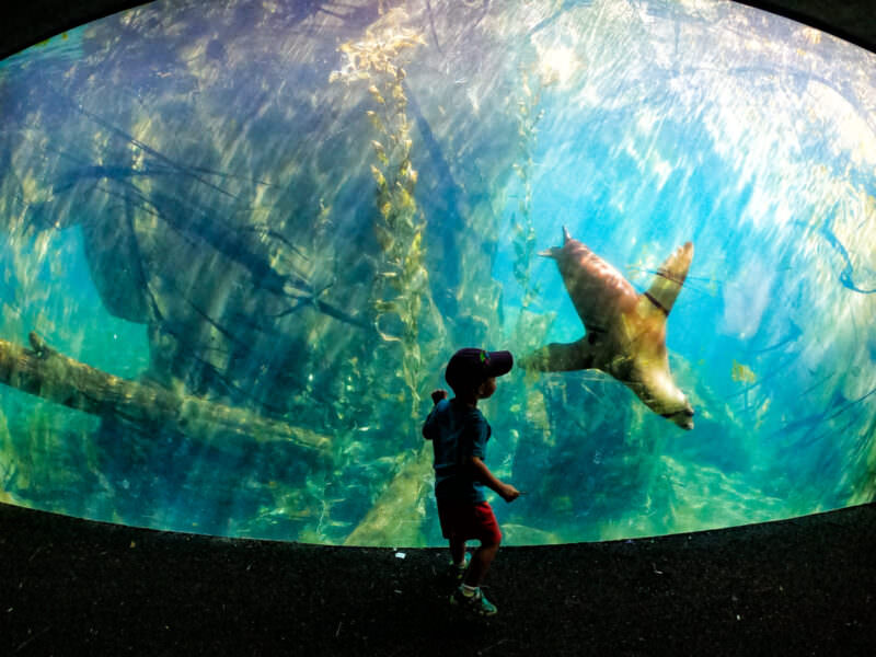 Photo taken with a GoPro HERO7 Black