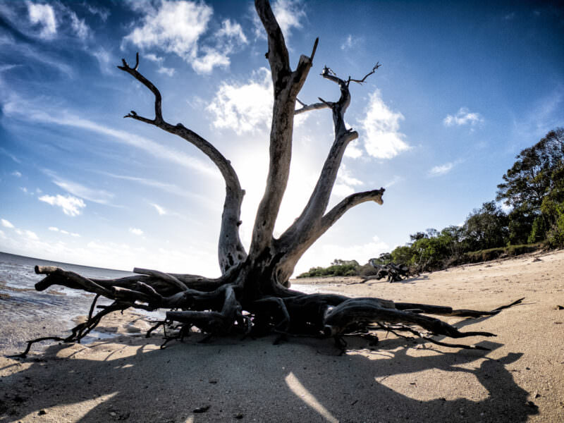 Photo taken with a GoPro HERO7 Black