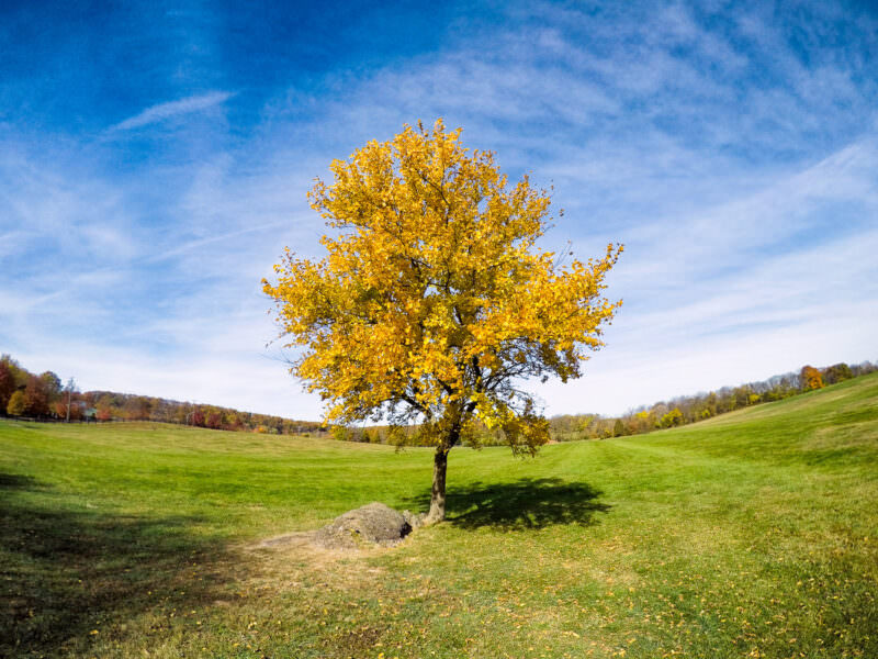 Photo taken with a GoPro HERO5 Black