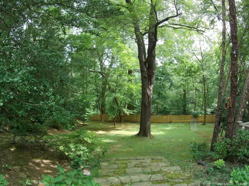 Sample photo of a green backyard with trees and a wooden fence taken with the action camera