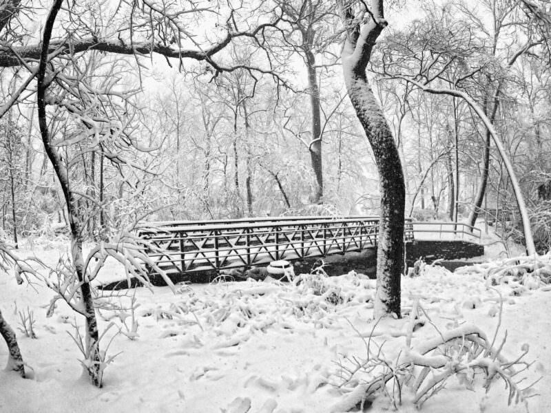 Snow-covered footbridge amid bare trees in a black-and-white winter park scene