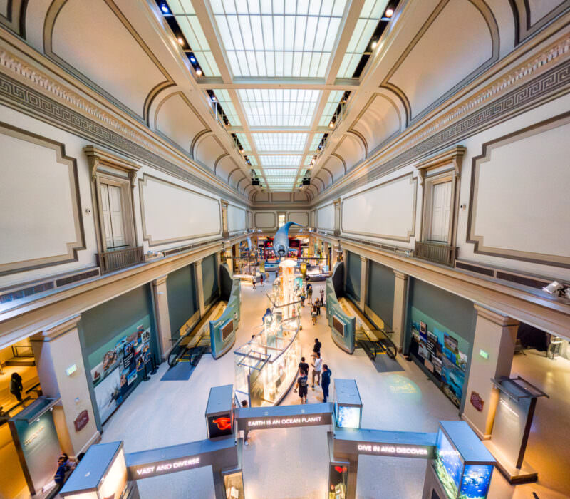 Long museum hall with glass ceiling and hanging whale model viewed from an elevated balcony