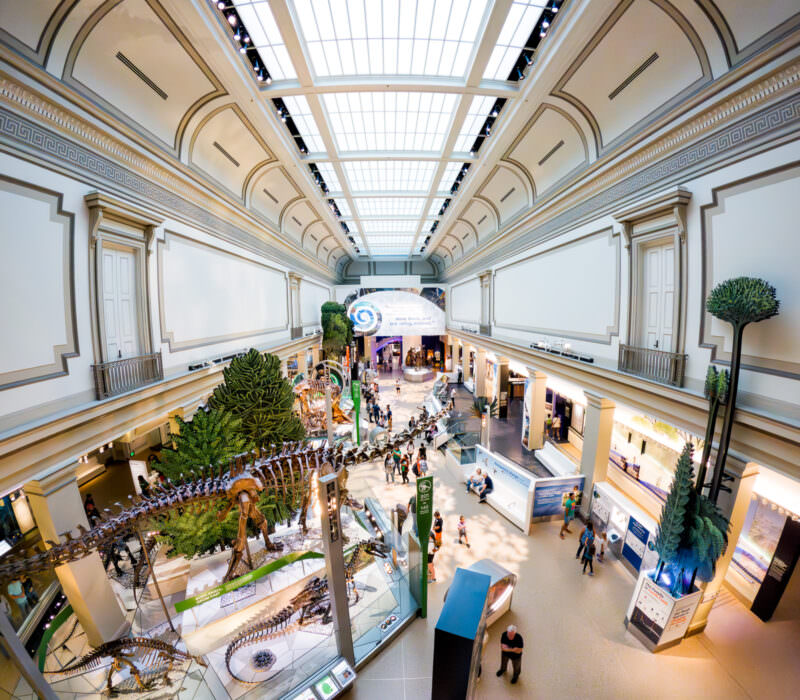 Wide gallery hall of the National Museum of Natural History with dinosaur skeletons and skylighted ceiling