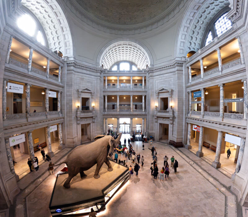 Smithsonian Castle-style rotunda with a taxidermy elephant and visitors beneath tiered marble balconies