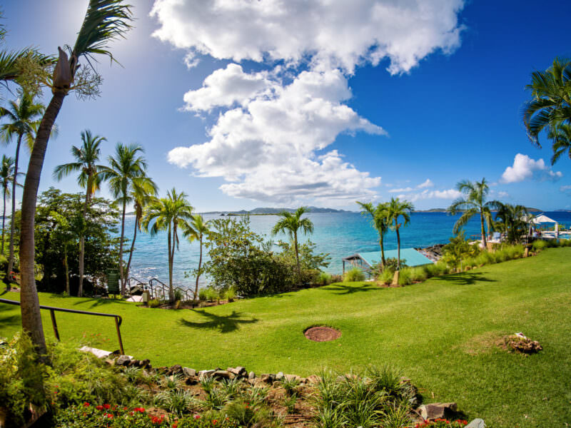 Sample photo from the Insta360 Ace Pro 2 of a palm-lined lawn overlooking a turquoise bay
