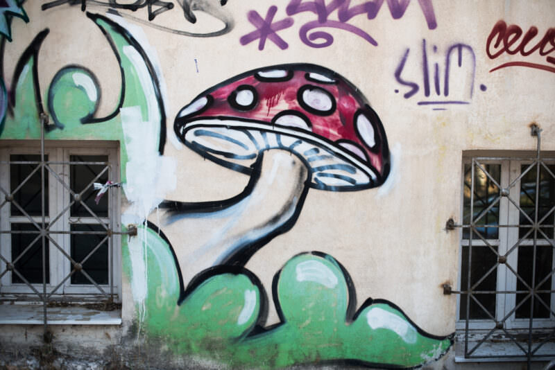 Athens street art of a red-spotted mushroom with white gills and a curved stalk, painted on a beige wall beside barred windows