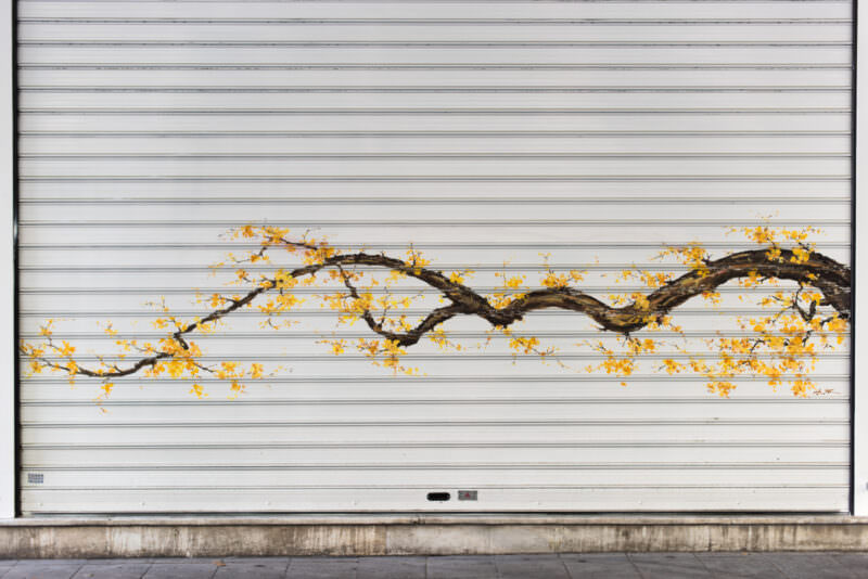 Athens street art on a white shop shutter showing a delicate flowering branch with yellow blossoms painted across horizontal slats