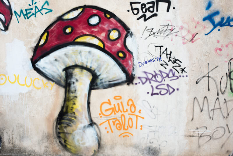 Athens graffiti art of a red-capped mushroom with white spots, surrounded by colorful tags on a beige wall