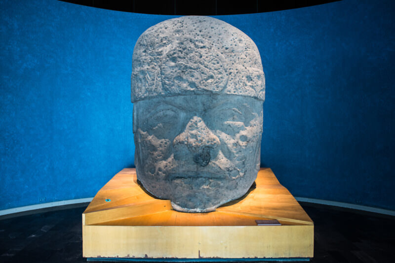 Olmec colossal basalt head on wood plinth against deep-blue curved wall in Gulf of Mexico hall
