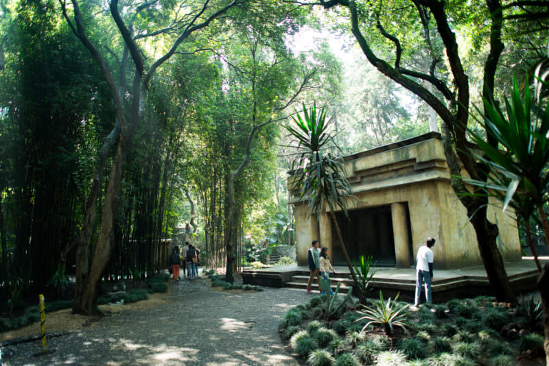 Visitors in wooded garden with full-scale Maya temple reconstruction rising among bamboo groves and agave plantings