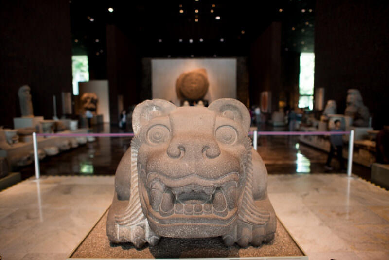 Mexica jaguar cuauhxicalli (ceremonial vessel) in foreground with Piedra del Sol visible on mount in background
