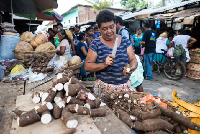 Mercado Municipal Vendor Peeling Fresh Yuca Granada Nicaragua
