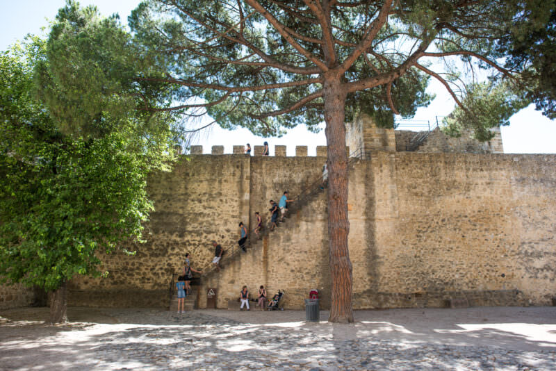 Visitors climb a metal staircase along the stone walls of Castelo de São Jorge beneath a pine tree