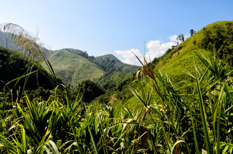 Cleared upland rice fields and small bamboo huts scattered across steep forested mountains under blue sky with white clouds