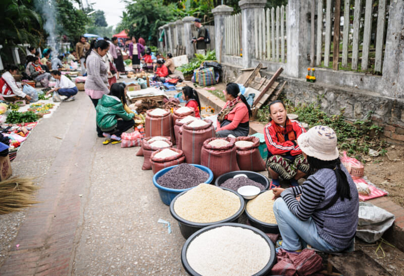 Vendors beside basins of purple and white sticky rice, seated along a temple fence at Luang Prabang's morning market