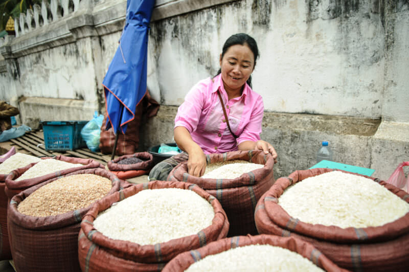 Vendor in pink beside open sacks of white and brown rice at Luang Prabang morning market, weathered temple wall behind