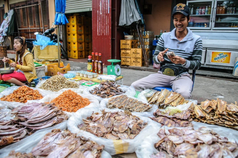 Vendor counting currency behind display of dried squid, shrimp, and fish in plastic-lined piles at Luang Prabang market