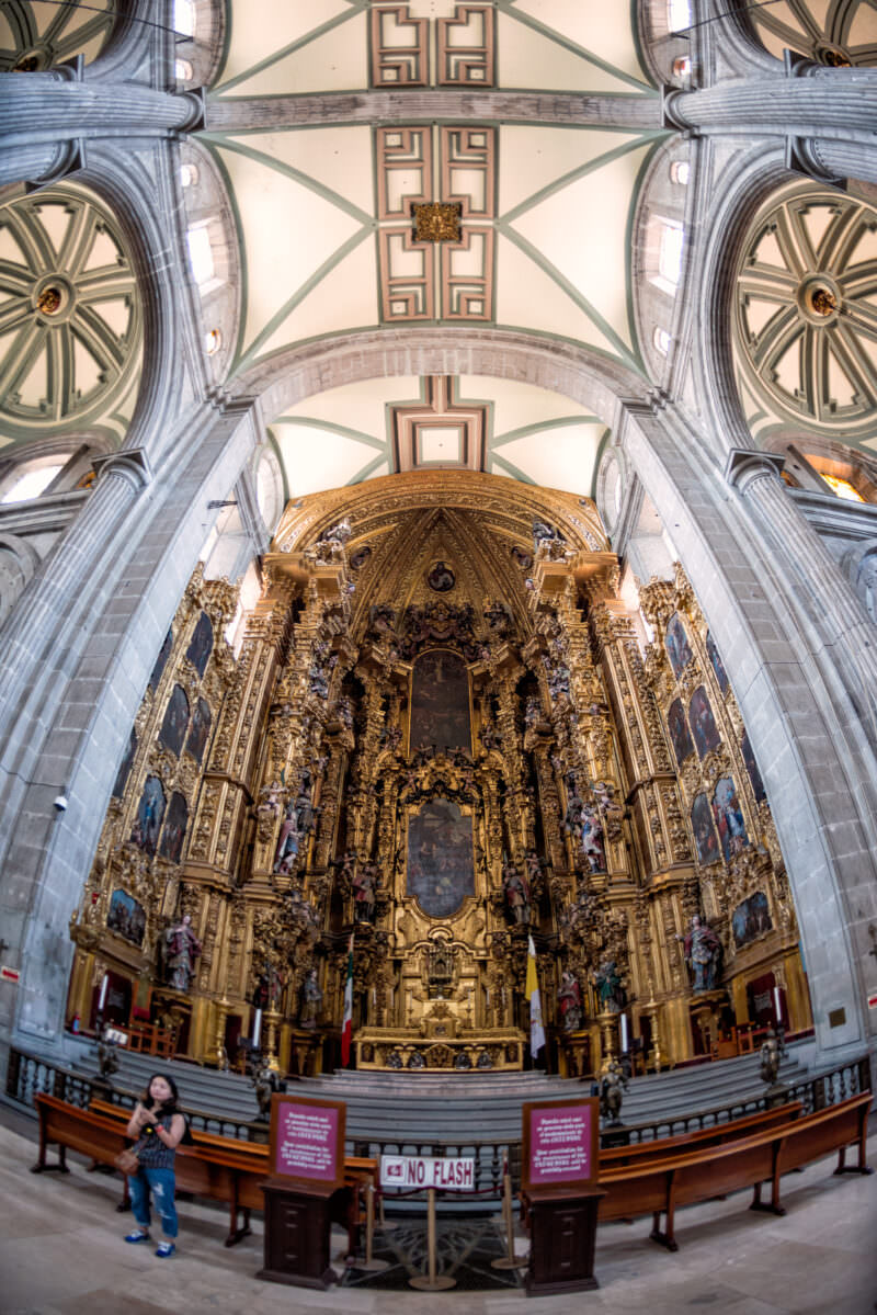 Altar de los Reyes filling the apse in fisheye view, ribbed vaults overhead, visitor at barrier below