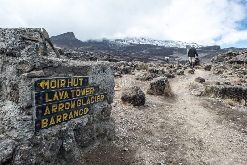 A stone trail marker reading Lava Tower and Barranco stands amid volcanic rock on Kilimanjaro's Lemosho Route, snowy peak beyond