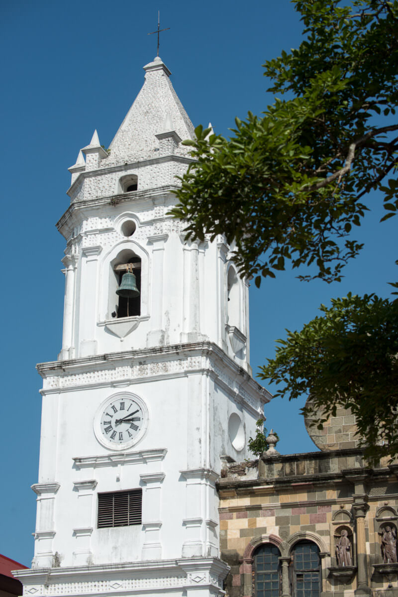 White bell tower of the Catedral Metropolitana with mother-of-pearl-inlaid pinnacle seen from below through green tree foliage, arched openings and clock face visible