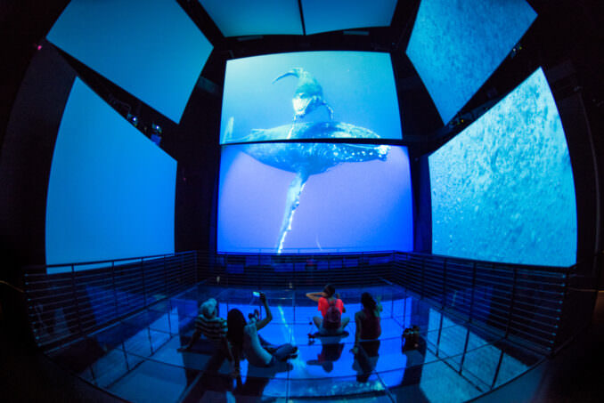 Biomuseo Immersive Theater Multi Screen Audiovisual Experience Panama City Panama