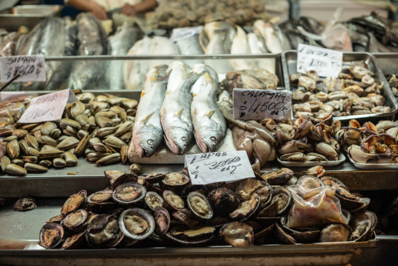 Tiered display of fish, squid, limpets, and surf clams with handwritten price tags at Mercado Central vendor stall