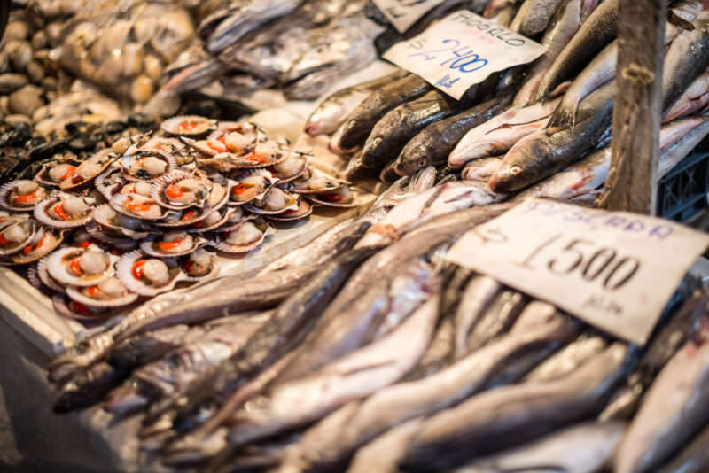 Fresh scallops with bright orange roe and whole fish on ice with handwritten signs at Mercado Central stall