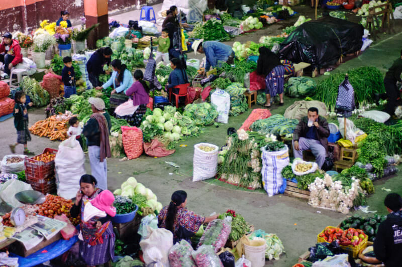 Indoor produce market floor with vendors arranging fresh vegetables, cabbages, carrots, and greens spread across ground