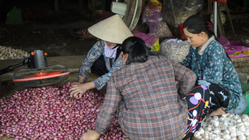 Cho Dong Ba Market Vendors Sorting Red Shallots And Garlic Hue Vietnam