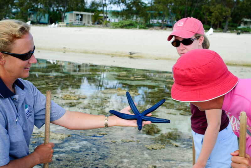 Ranger displaying blue sea star to visitors during low-tide reef walk at Lady Elliot Island