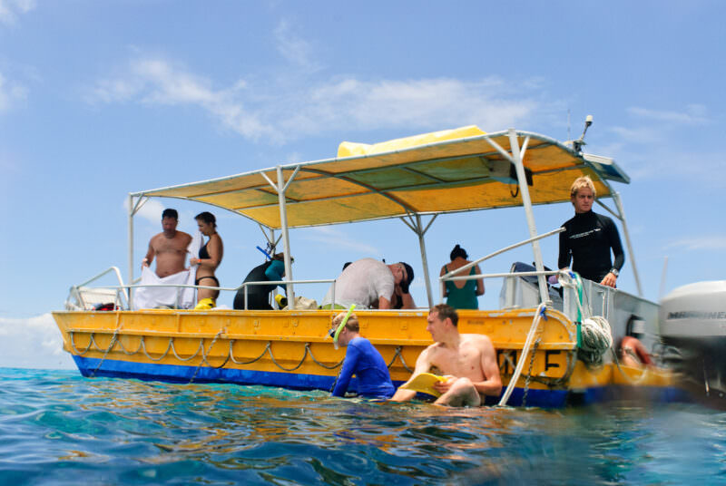 Snorkelers entering water from yellow glass-bottom boat off Lady Elliot Island, Great Barrier Reef