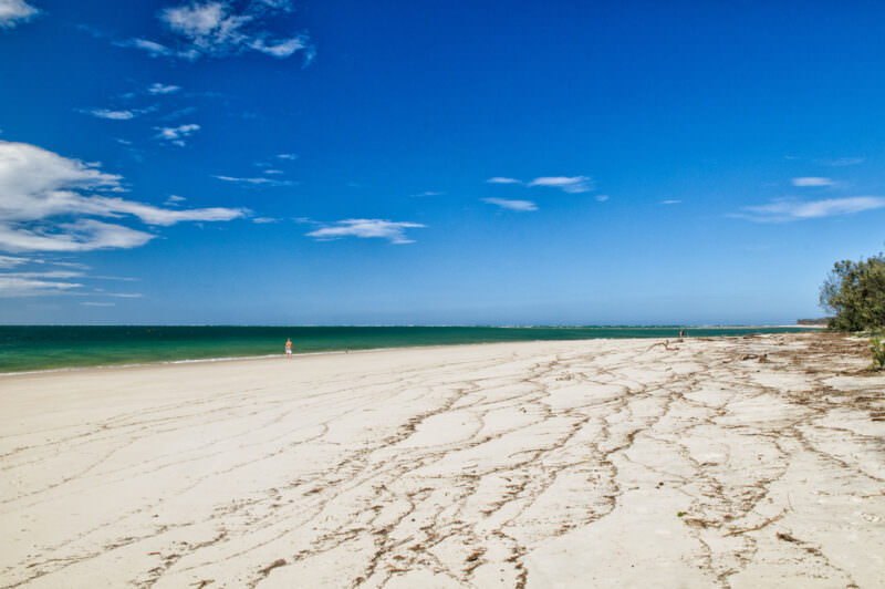 Amity Point beach with lines of tidal wrack curving across pale sand, a solitary walker near calm green shallows under bright sky