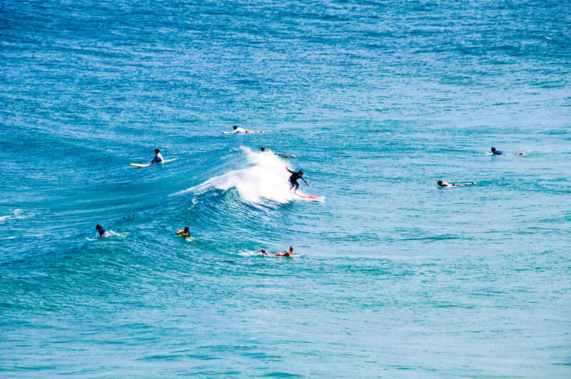 Surfers riding and paddling on deep blue Pacific waves off Point Lookout, one catching a white-capped break