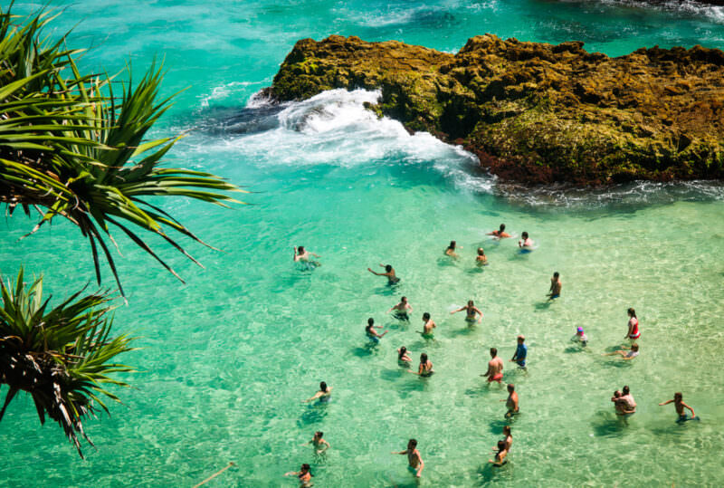 Point Lookout rock pool framed by screw pine leaves, swimmers wading in turquoise water surrounded by moss-covered volcanic outcrops