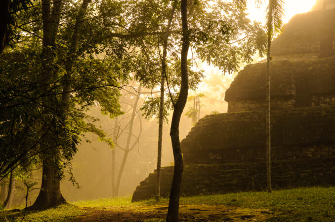 Tikal Temple IV In Morning Mist Guatemala