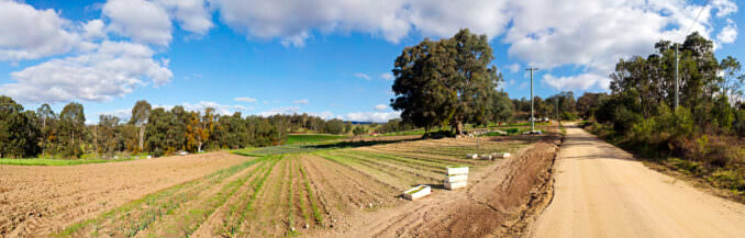 Towamba Valley Farm Panorama New South Wales