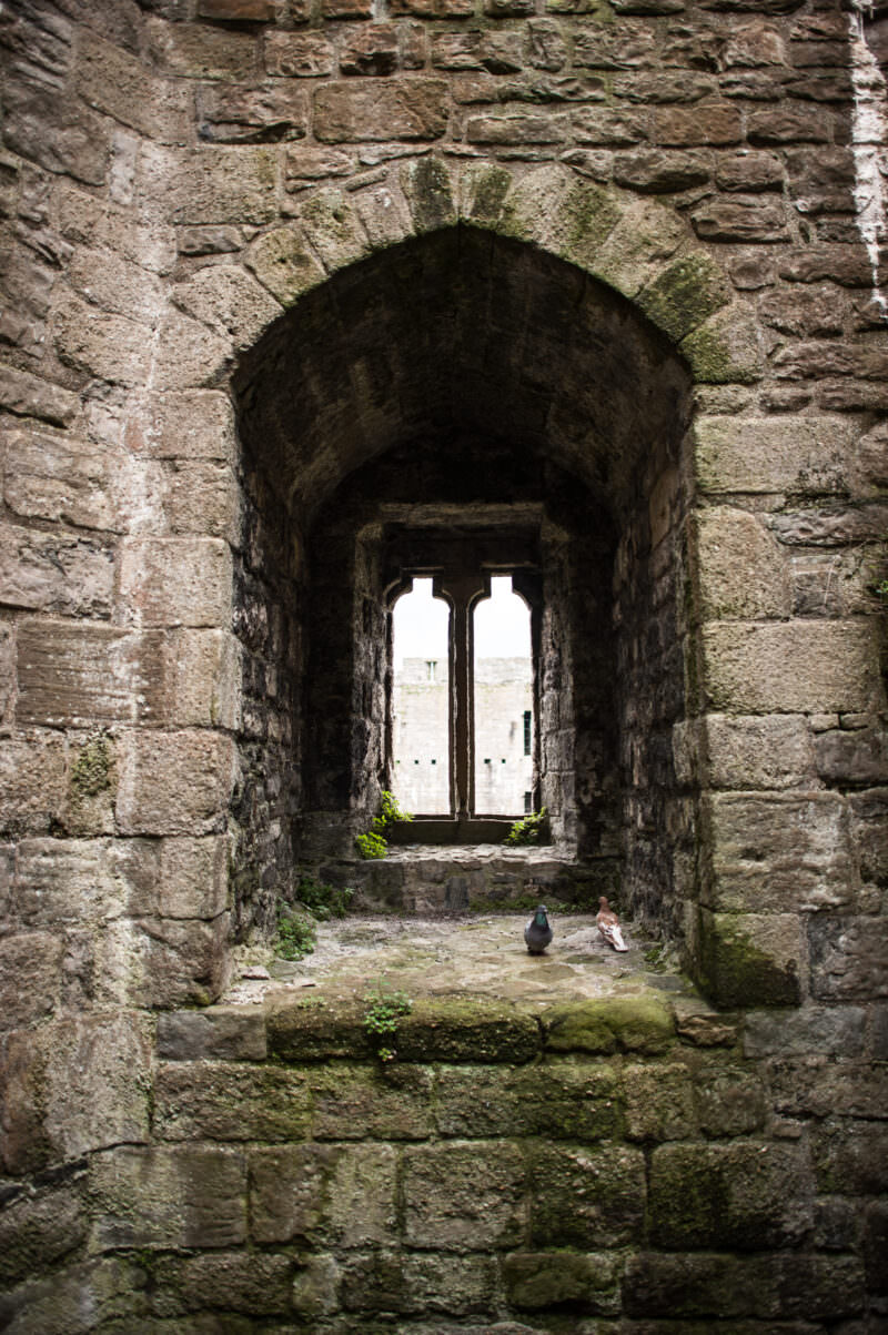 Two pigeons perched on window ledge at Caernarfon Castle