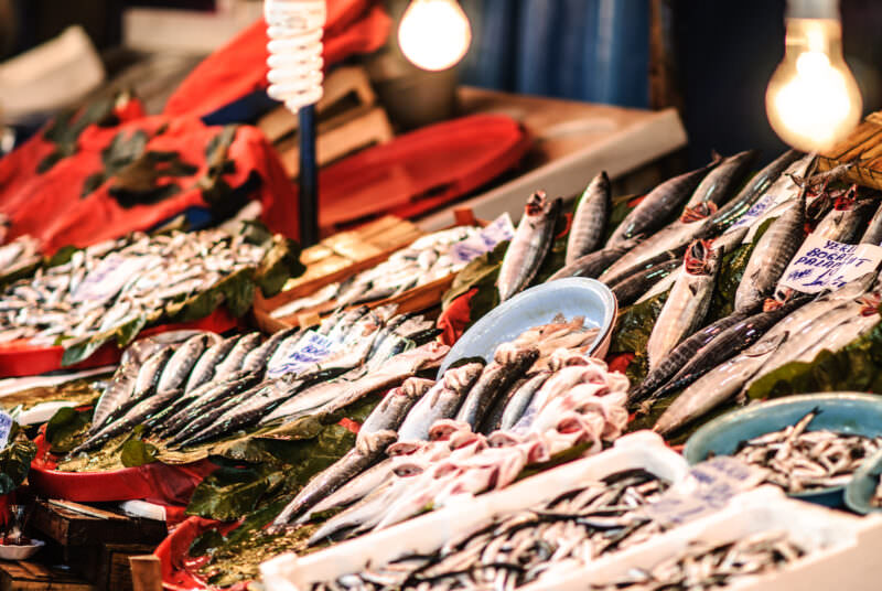 Rows of iced mackerel and bonito laid on leaves at a Karaköy Fish Market stall