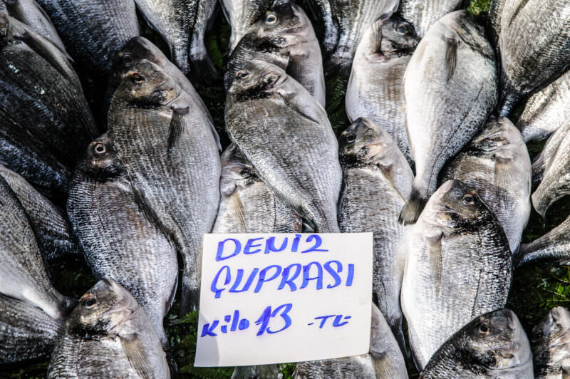 Stacked silver çupra sea bream at the Karaköy Fish Market beside a hand-written kilo price sign