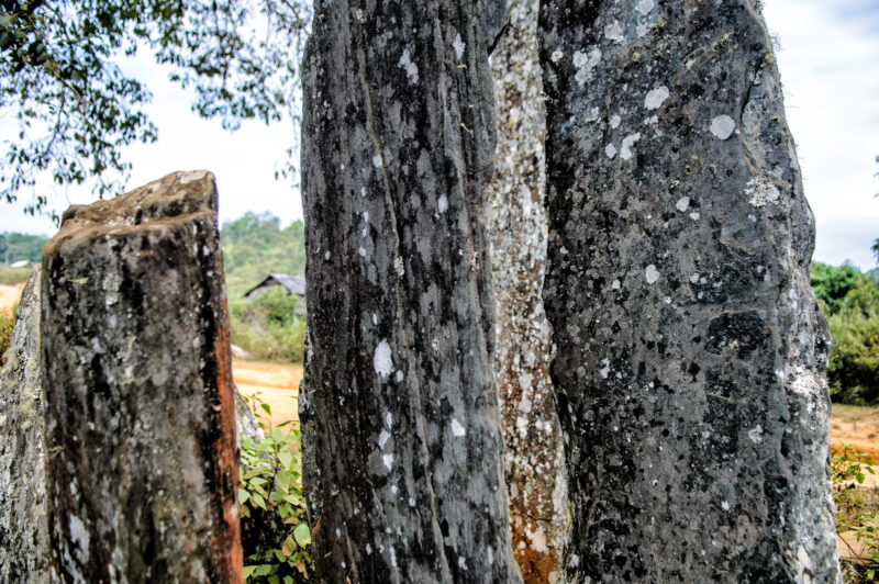 Hintang menhirs covered in white lichen patches, their tall rough surfaces showing the undecorated blade-like form of mica schist