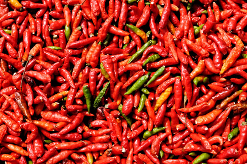 Dense layer of red and green bird's eye chilis spread on a tarp, showing wrinkled skins drying in the sun