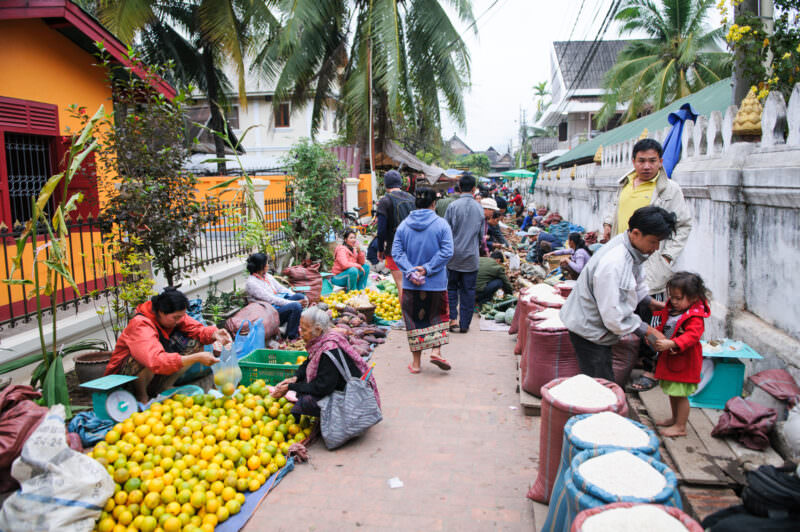 Morning market street in Luang Prabang, vendors lining white temple wall with oranges and rice sacks, palms overhead