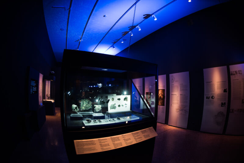 Antikythera Shipwreck Exhibition gallery interior, curved blue-lit ceiling with display cases and artifact panels in a darkened space