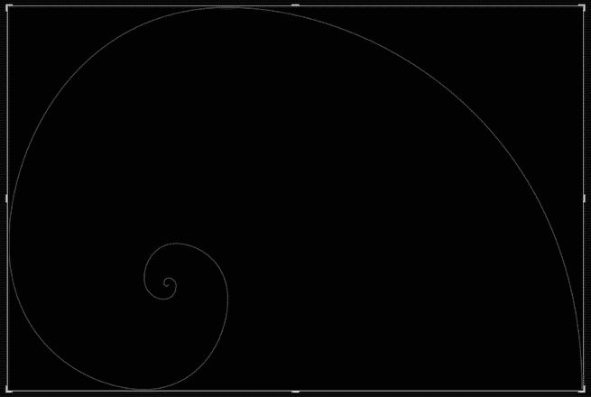 How to Use Lightroom's Crop Overlays to Help with Composition - Golden Spiral Screenshot Rotated