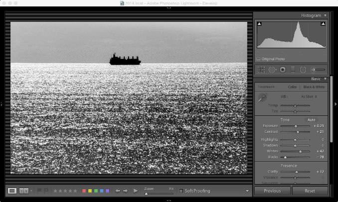 Screenshot of Lightroom Classic with black and white scanned image with dust spots and scratches on the original negative