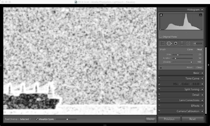 Screenshot of Lightroom Classic with black and white scanned image with dust spots and scratches on the original negative